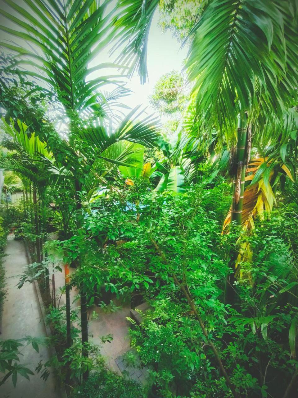 Green Stay Village Siem Reap Bagian luar foto
